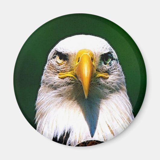 ワシ マグネット (正面)