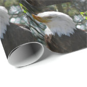 ワシ ラッピングペーパー (ロールコーナー)