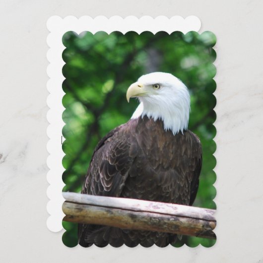 ワシ 招待状 (正面/裏面)