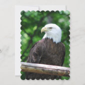 ワシ 招待状 (正面)