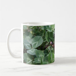 ワスプマグ コーヒーマグカップ