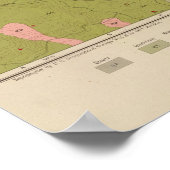 ワスホ地区の地質図 ポスター (角)