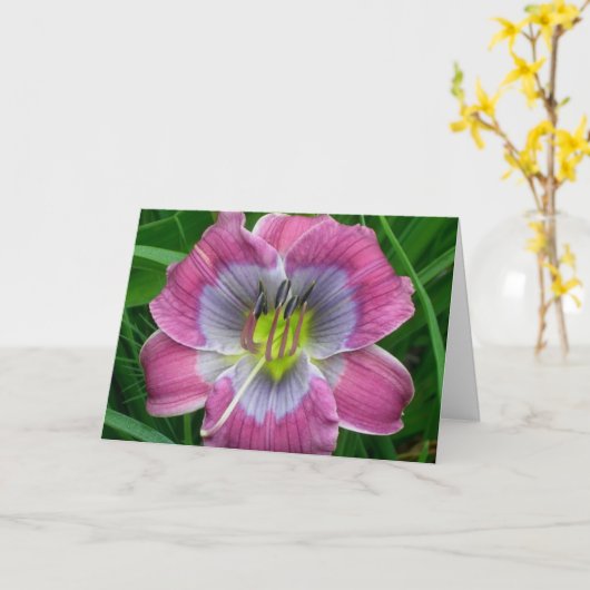 ワスレグサの「Dixieの青 カード (黄色い花)