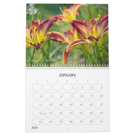 ワスレグサ2011のカレンダー カレンダー (1月 2026)