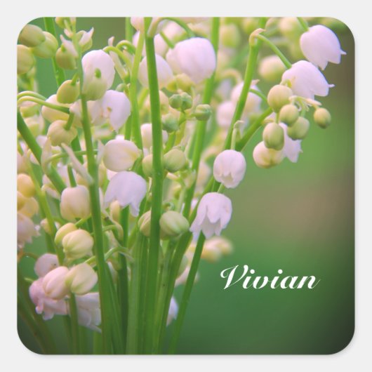 ワスレナグサのオーダーメイド スクエアシール (正面)