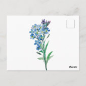 ワスレナグサのポストカード ポストカード (裏面)