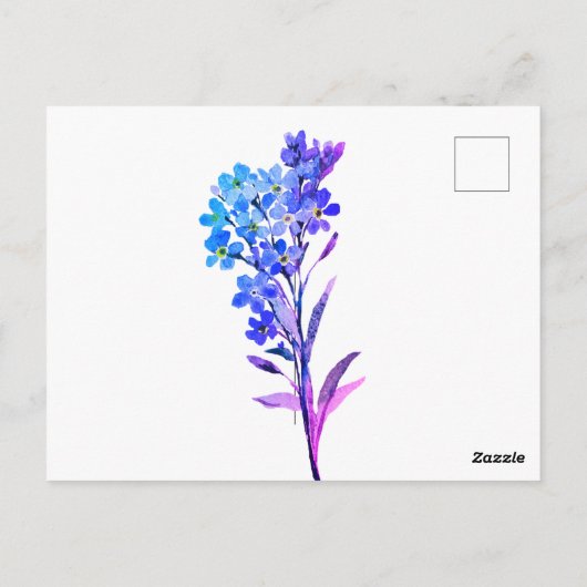 ワスレナグサの葉書 ポストカード (裏面)