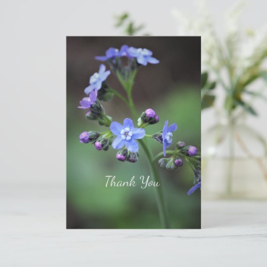 ワスレナグサ サンキューカード (スタンド正面)