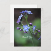 ワスレナグサ サンキューカード (正面/裏面)