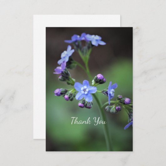 ワスレナグサ サンキューカード (正面/裏面)