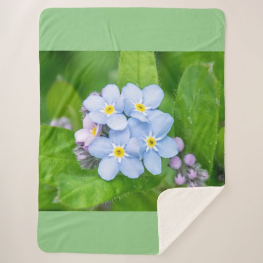 ワスレナグサ シェルパブランケット (正面)