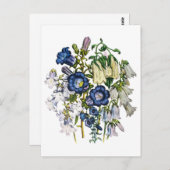 ワスレナグサ ポストカード (正面/裏面)