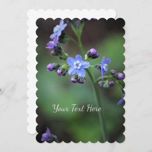 ワスレナグサ 招待状 (正面/裏面)