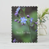 ワスレナグサ 招待状 (スタンド正面)