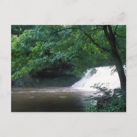 ワズワース秋コネチカット ポストカード (正面)