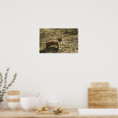 ワゼル短尾 ポスター (キッチン)