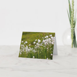 ワタスゲの草原 - 4" x 5.6" ノートカード