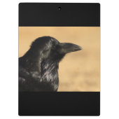 ワタリガラスのポートレート クリップボード (裏面)