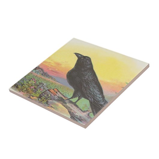 ワタリガラス タイル (側面)