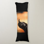 ワタリガラス ボディピロー (正面縦)