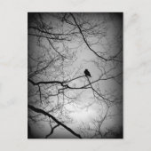 ワタリガラス ポストカード (正面)