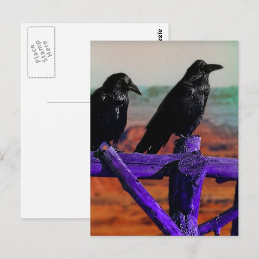 ワタリガラス ポストカード (正面/裏面)