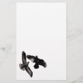 ワタリガラス 便箋 (正面)