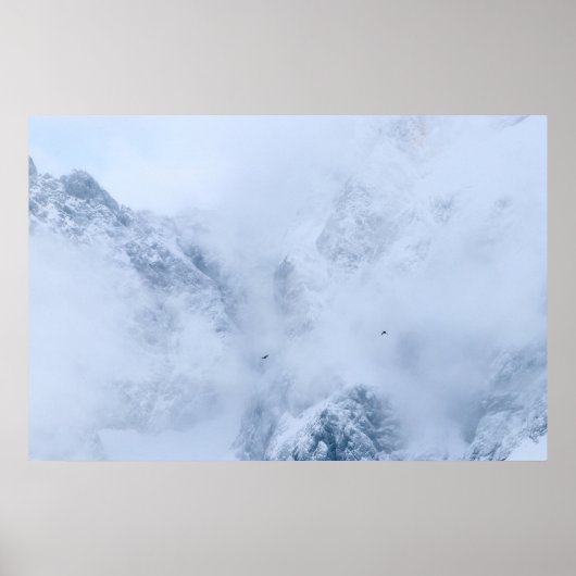 ワタリガラス、雪山と雲 ポスター (正面)
