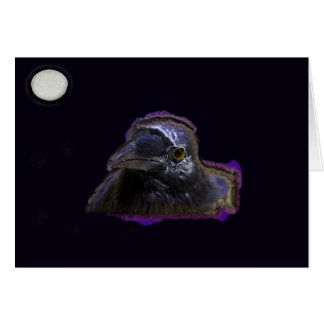 ワタリガラスXLVII