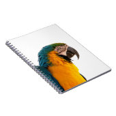 ワタワタインコ ノートブック (右側)