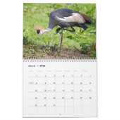 ワダーカレンダー カレンダー (3月 2026)