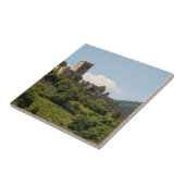 ワチャウ・オーストリアの騎士城 タイル (側面)