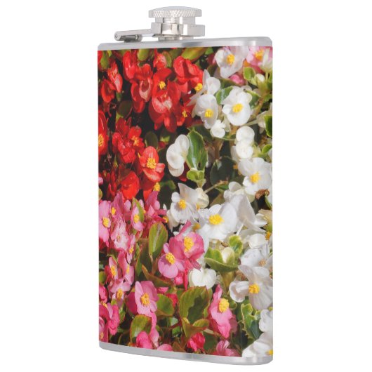 ワックスベゴニアス フラスク (左)