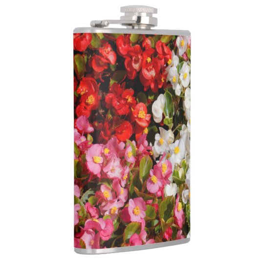 ワックスベゴニアス フラスク (右)