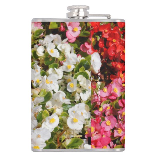 ワックスベゴニアス フラスク (裏面)