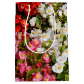 ワックスベゴニアス ミディアムペーパーバッグ (正面)