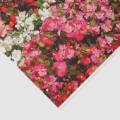 ワックスベゴニアス 薄葉紙 (詳細)