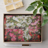 ワックスベゴニアス 薄葉紙 (ギフト)