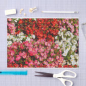 ワックスベゴニアス 薄葉紙 (クラフト)