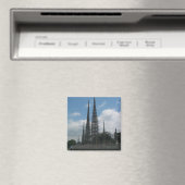 ワッツ・タワーズ マグネット (インサイチュ (食洗機))