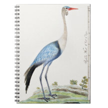 ワットクレーン