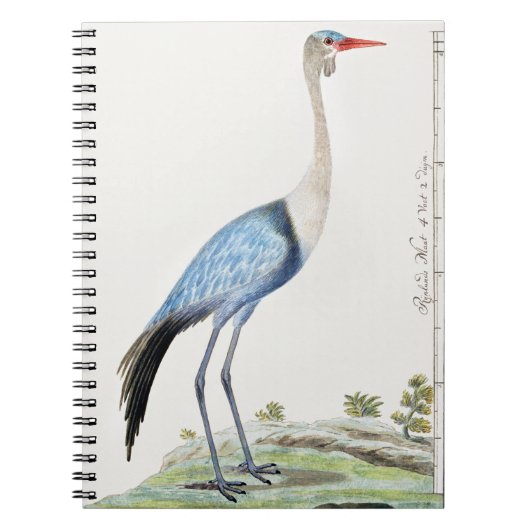 ワットクレーン ノートブック (正面)