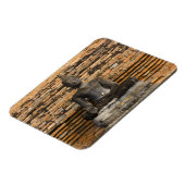 ワット・マハトのブッダ。 マグネット (左側)