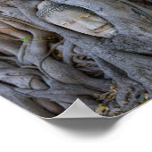 ワット・マハトス仏頭 ポスター (角)