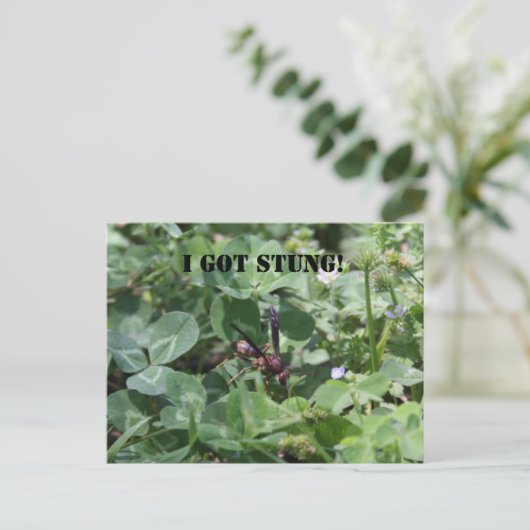 ワップ ポストカード (スタンド正面)