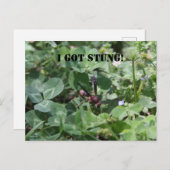 ワップ ポストカード (正面/裏面)