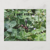 ワップ ポストカード (正面)