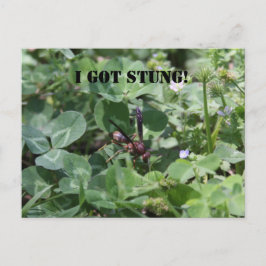 ワップ ポストカード