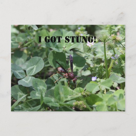 ワップ ポストカード (正面)