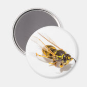 ワップ マグネット (正面/裏面)